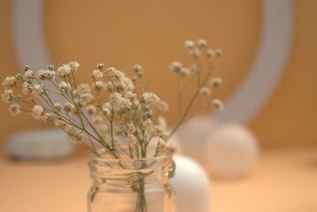 Minimal composition with dried flowers on pastel background