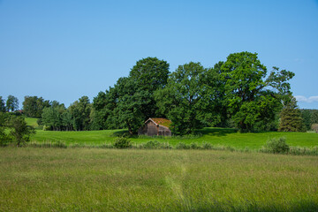 Old wooden cottage surrounded by trees, forest and fields
