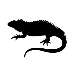 Naklejka premium Black silhouette of lizard crawling on white background vector illustration