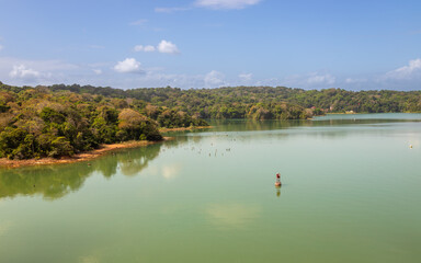 Exposure of the biodiversity present along the shores of the Gatun Lake, the freshwater artificial...