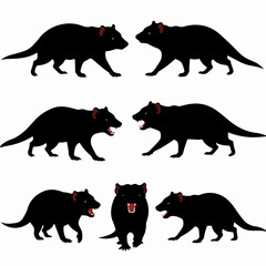 Tasmanian devil silhouette wildlife danger animal.