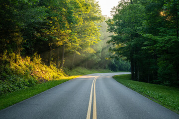 Shafts of Light Shine Around the Corner Of Fighting Creek Gap Road In Great Smoky Mountains