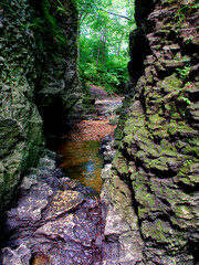 Bourbonnais Geologic Area Nature Preserve in Illinois