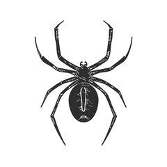 Spider Silhouette Illustration. Arachnid Symbolism And Nature Representation Isolated Vector Illustration