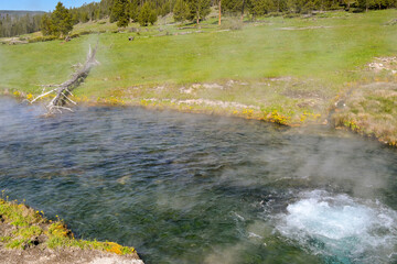 Spring of boiling water in the geothermal area of the Terrace Springs in Yellowstone National Park. No people.