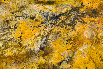 Close up view of algae and minerals on the side of a hot spring in the geothermal area of the Terrace Springs in Yellowstone National Park. No people.