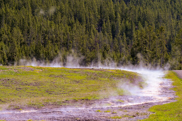 Steam rising from a stream of boiling water in the geothermal area of the Terrace Springs in Yellowstone National Park. No people.