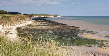 Sewerby east riding, Yorkshire, uk, June 16th 2025 Bridlington North Beach/Sewerby  at low tide,...