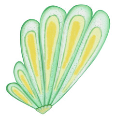 Ocean Animal Vector Watercolor with starfish,Shell and Coral under the Water Life,Illustration
