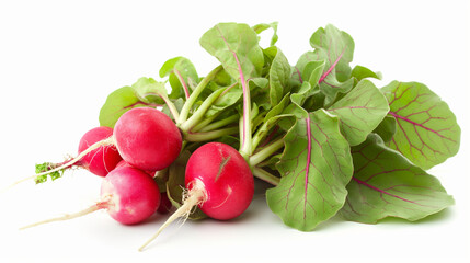 Radishes isolated on white background