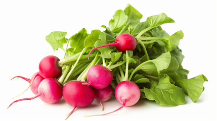 Radishes isolated on white background