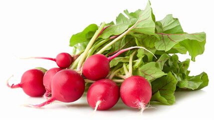 Radishes isolated on white background