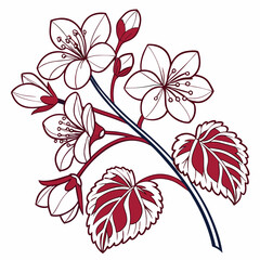 vector illustration of begonia