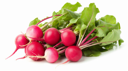 Radishes isolated on white background