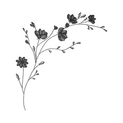 Vintage Botanical Ink Drawing