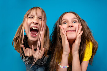 Two funny little blonde girls fooling around against blue background. Fish-eye lens