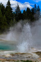 Geysers with hot water spew steam in Yellowstone National Park