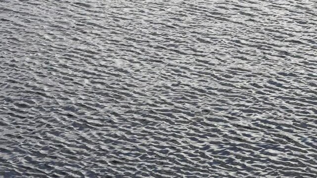 Ripples, waves on water, water texture