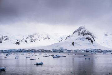 Beautiful paradise harbor in Antarctica under overcast sky