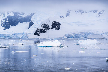 Beautiful paradise harbor in Antarctica under overcast sky