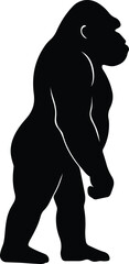 Silhouette Gorilla walking upright side view Vector Illustration © AbuSadat
