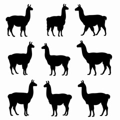 Llama silhouette collection animal art farm
