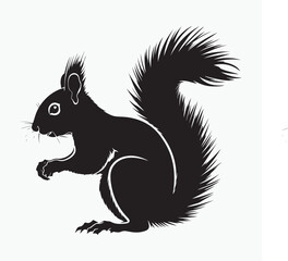 squirrel silhouette on a white background