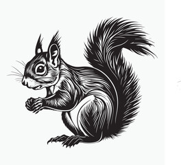 squirrel silhouette on a white background