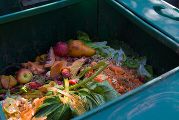 An open compost bin overflowing with vibrant kitchen and garden organic waste, highlighting...
