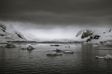 Beautiful paradise harbor in Antarctica under overcast sky