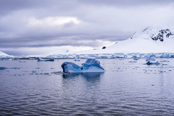 Beautiful paradise harbor in Antarctica under overcast sky