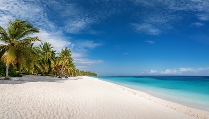 white sand beach with palm trees lining the shore overlooking the ocean under a partly cloudy sky