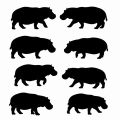 Hippo silhouette animal wildlife mammal zoo safari