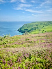 Paysage c&ocirc;tier &agrave; Crozon 
