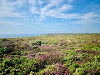 Paysage côtier à Crozon 