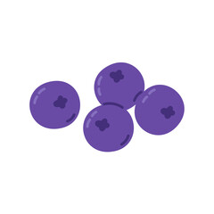 Vector drawing of fresh ripe blueberries. Perfect for use in food packaging, juice labels, organic product design, or diet-related content