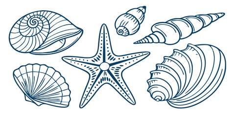 detailed line art of various seashells and a starfish isolated on white background.