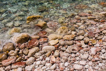 Clear coastal water with submerged algae and colorful rocks. Marine textures, biodiversity, and natural coastal ecosystem