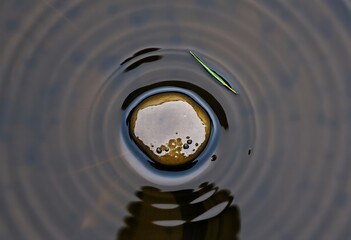 Zen Stone in Water with Ripples and Leaf – Minimal Tranquility Series