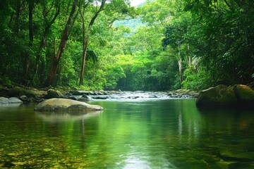 Obraz premium Mossman Gorge river stream flowing through vibrant Daintree rainforest in Queensland Australia, Rainforest river stream of Mossman gorge Daintree national park nature reserve