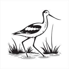 Obraz premium avocet birds silhouette vector
