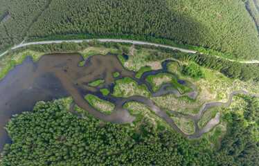 Aerial view of lake or river green shore with forest. Summer season.