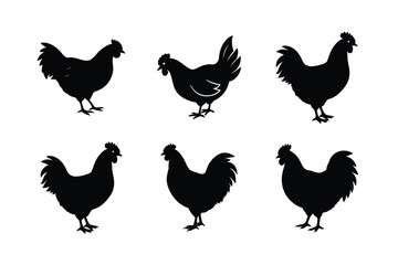Chicken silhouette bundle design