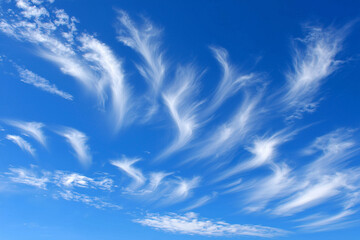 Delicate wispy feather-like clouds drift gracefully across a bright blue sky, evoking serenity and natural beauty