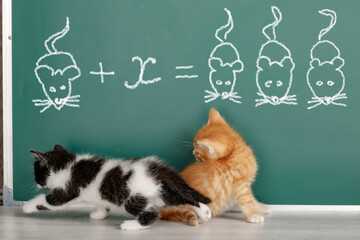Fun education. Little kittens cheerfully took up the solution of the equation given on the board with the help of drawings of mice