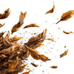 Autumn Leaves Explosion: A Dynamic Burst of Golden Brown Foliage Against a Black Background