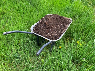 A wheelbarrow with manure stands in the green grass in the garden