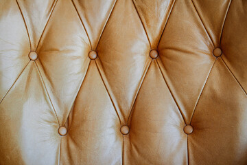 Detail of tufted brown leather chair back