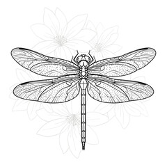 Detailed illustration of a dragonfly against a background of flowers in a minimalist line art style