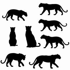 Black panther silhouette wild cat wildlife shapes